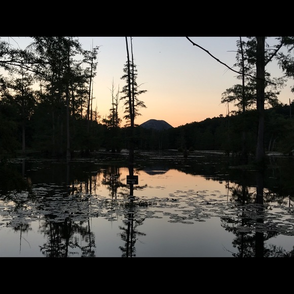 Meet your Posher, April - Picture 1 of 1